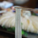 독도참가자미 이미지