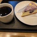 한양타운 앞 | 송파 문정동 스타벅스 문정법조타운한양타워점 후기 주차