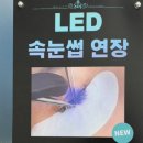 쉿크릿브로우 | 대전 유성 속눈썹펌 포인트연장 | 쉿크릿브로우 방문후기
