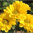 봉천 한의원 이미지