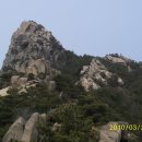 노송 이미지