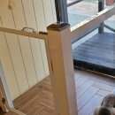 메리몰펫샵(사직점) 이미지