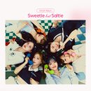 cignature(시그니처) 5th EP Album ‘Sweetie but Saltie’ MV 스트리밍 이벤트 안내 이미지