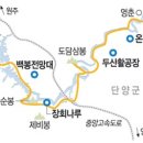 영춘삼거리~영춘교차로 이미지