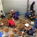 더덕쟁이 이미지