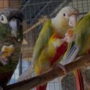 파랑새축산 이미지