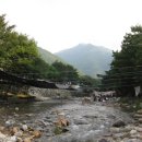 정토농장 Daum카페