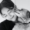 (주)수호천사 이미지