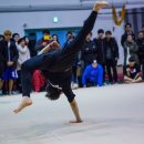 킹 태권도장 이미지