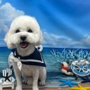 까까멍멍 이미지