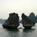 죽화초등학교 이미지