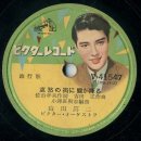 안개로가로수 이미지