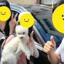 J카마스터 이미지