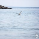 태안 인쇄 이미지