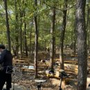 수리산 산림욕장 이미지