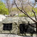 UR(양산시)-[어영길]-상-3 | [양산 캠핑장] 무릉도원 캠핑장 B8 사이트 내돈내산 솔직후기: 벚꽃엔딩이어도 무릉도원 맞네 맞아