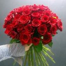 로즈데이 이미지