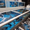 해진축산 이미지