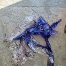 대청모터스 이미지