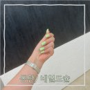 네일드슐 | 네일드슐 세번째방문하는 단골의 아크릴네일 후기