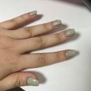 네일쉴꽃 이미지