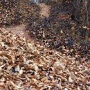 의령 호미산성 이미지