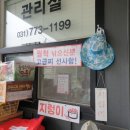 양평이화사슴농장 | 경기도 양평] 낚시 캠핑장, 물멍하기 좋은 고재낚시터(단점 있음)