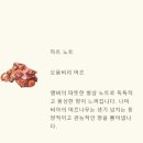 통카 이미지