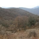 성산농원