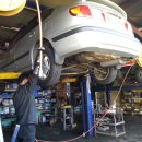 달구지카사랑 이미지