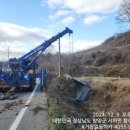합천추레라 이미지