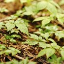 서운농장 이미지