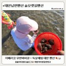 남면-8 | 태안 남면 가족펜션 추천! 독살체험부터 무한바비큐까지 가능한 솔모랫길펜션 후기