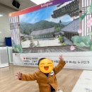 소풍 수지점 이미지