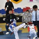 원도 태권도체육관 이미지