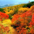 무장초등학교 이미지