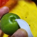 성실농원 이미지