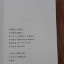 노을치마 이미지