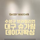 대구슈가링데이지왁싱