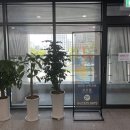 바로엘내과의원 이미지