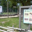 사슴방목장 이미지