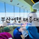 태종대 전망대 가는법, 태종대 카페 블루빈 후기
