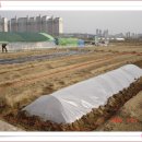 저두농장 이미지