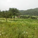 여주-0928 이미지