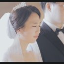 [e나무] 약 40여개의 본식 DVD 업체 영상 비교/결정 후기(DVD 업체 선정 기준)