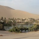 카오아시스 이미지