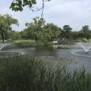 용산-115 이미지