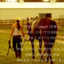 cowgirl 매장정리 파격SALE 처분 !!! 할리데이비슨 두건 ( 미국직수입 ) / 남성 브랜드 운동화 2종 이미지