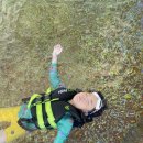 두원목장 이미지