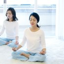 치유요가(체형관리 및 명상) 네이버블로그